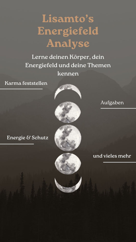 Energiefeldanalyse