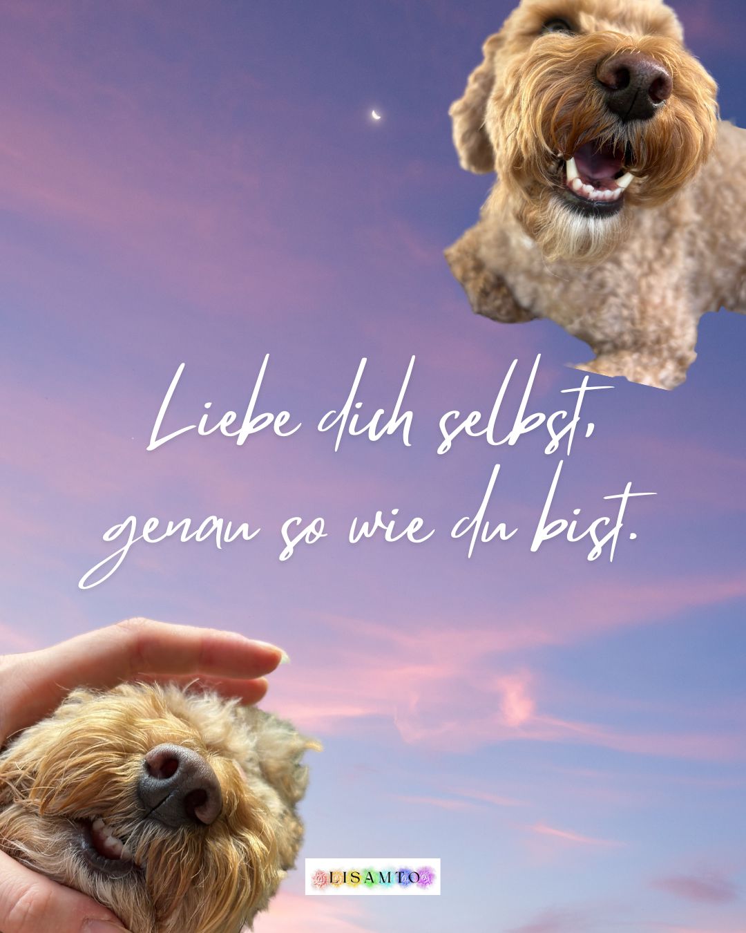 Handyhülle „Luna“