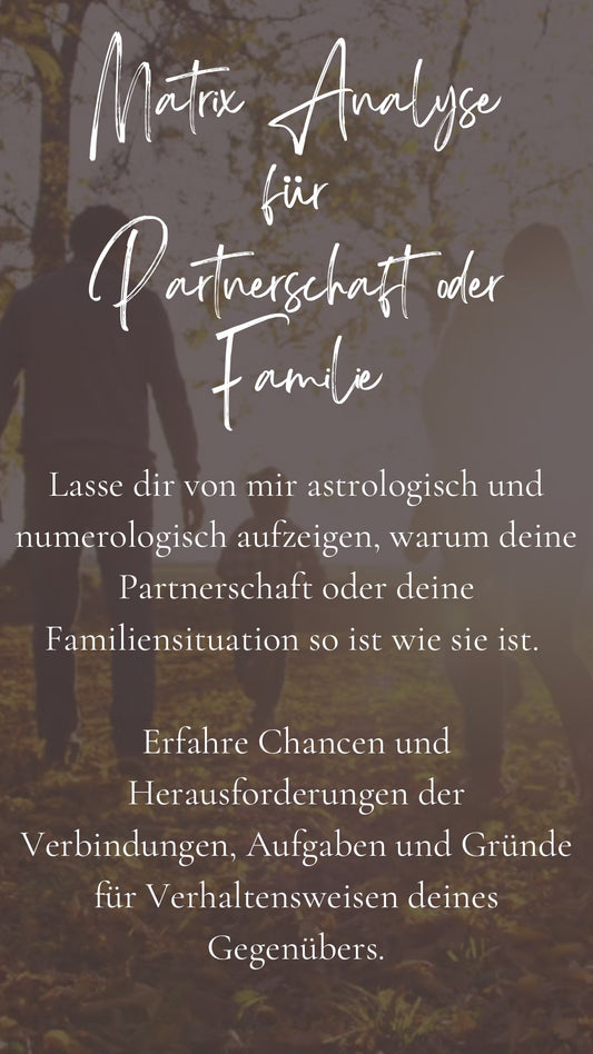 Matrix Analyse (Partnerschaft oder Familie)