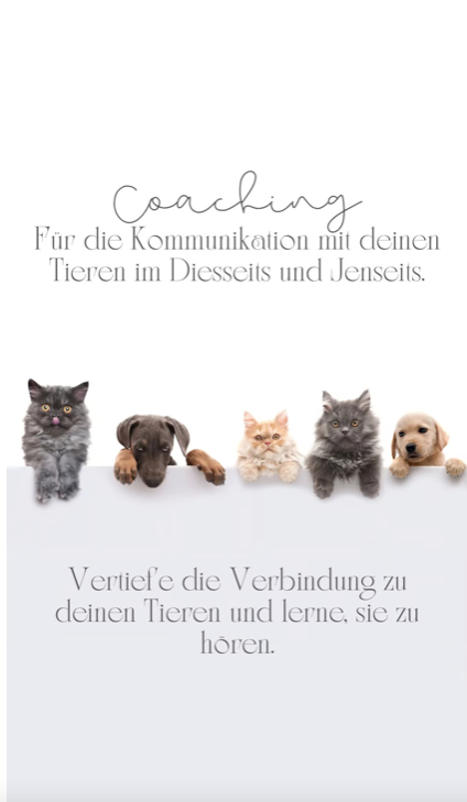 Coaching um mit deinen Tieren zu kommunizieren