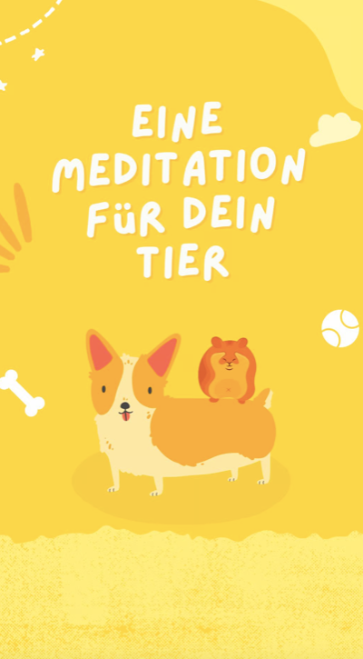Mediation "Für dein Tier"